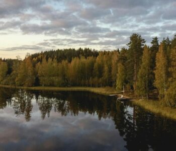 green trees beside lake under cloudy sky