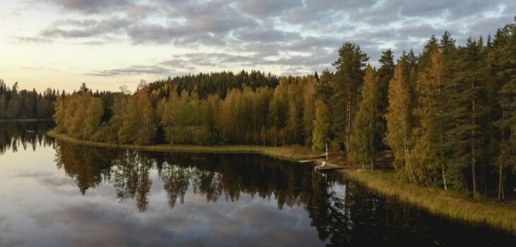 green trees beside lake under cloudy sky